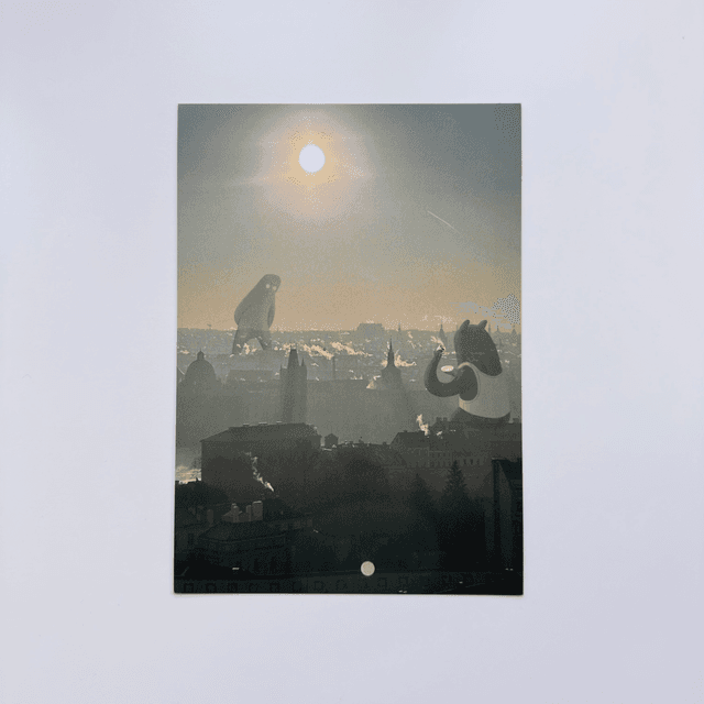 Winter Sunrise View